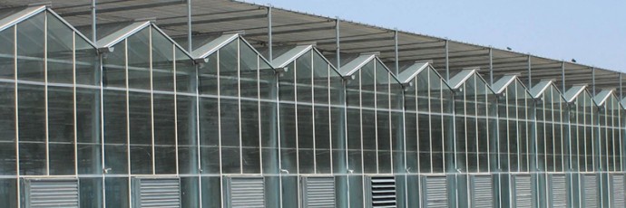 陽光板溫室與連棟薄膜溫室大棚的區(qū)別